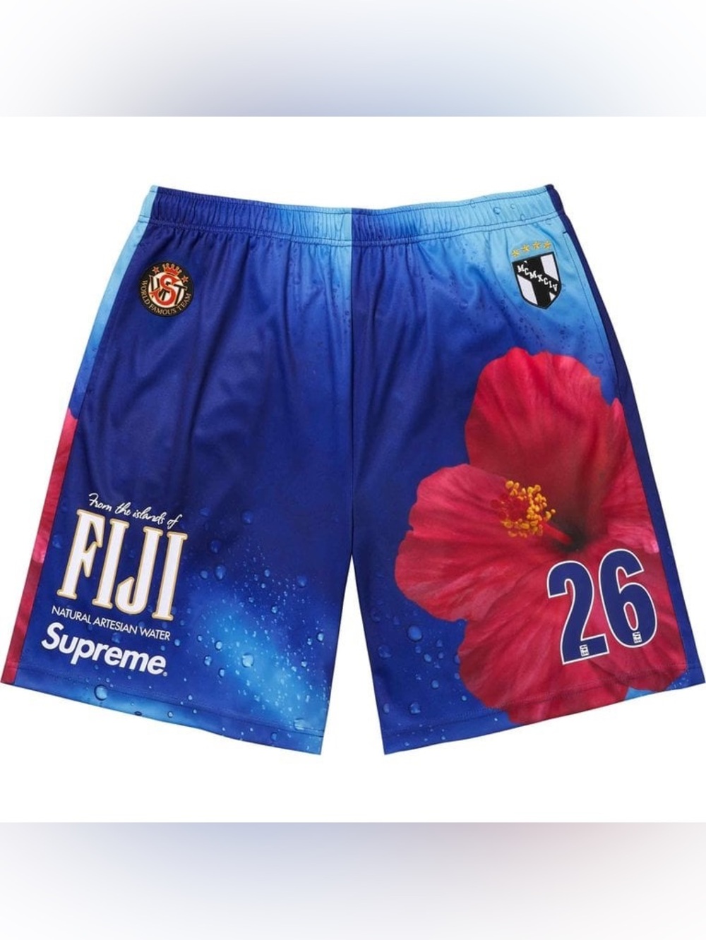 Supreme Fiji Soccer Short Multicolor Shorts Printed Graphic Logo Men’s Size XL.